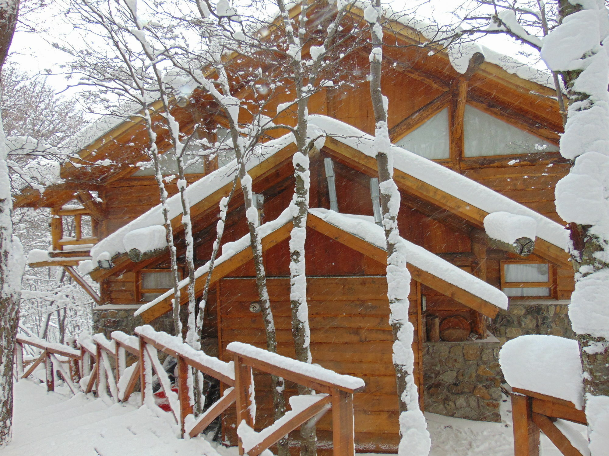 Patagonia Villa Lodge 乌斯怀亚 外观 照片
